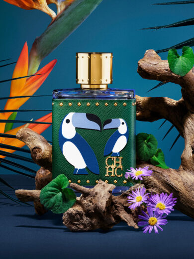 Birds Of Paradise