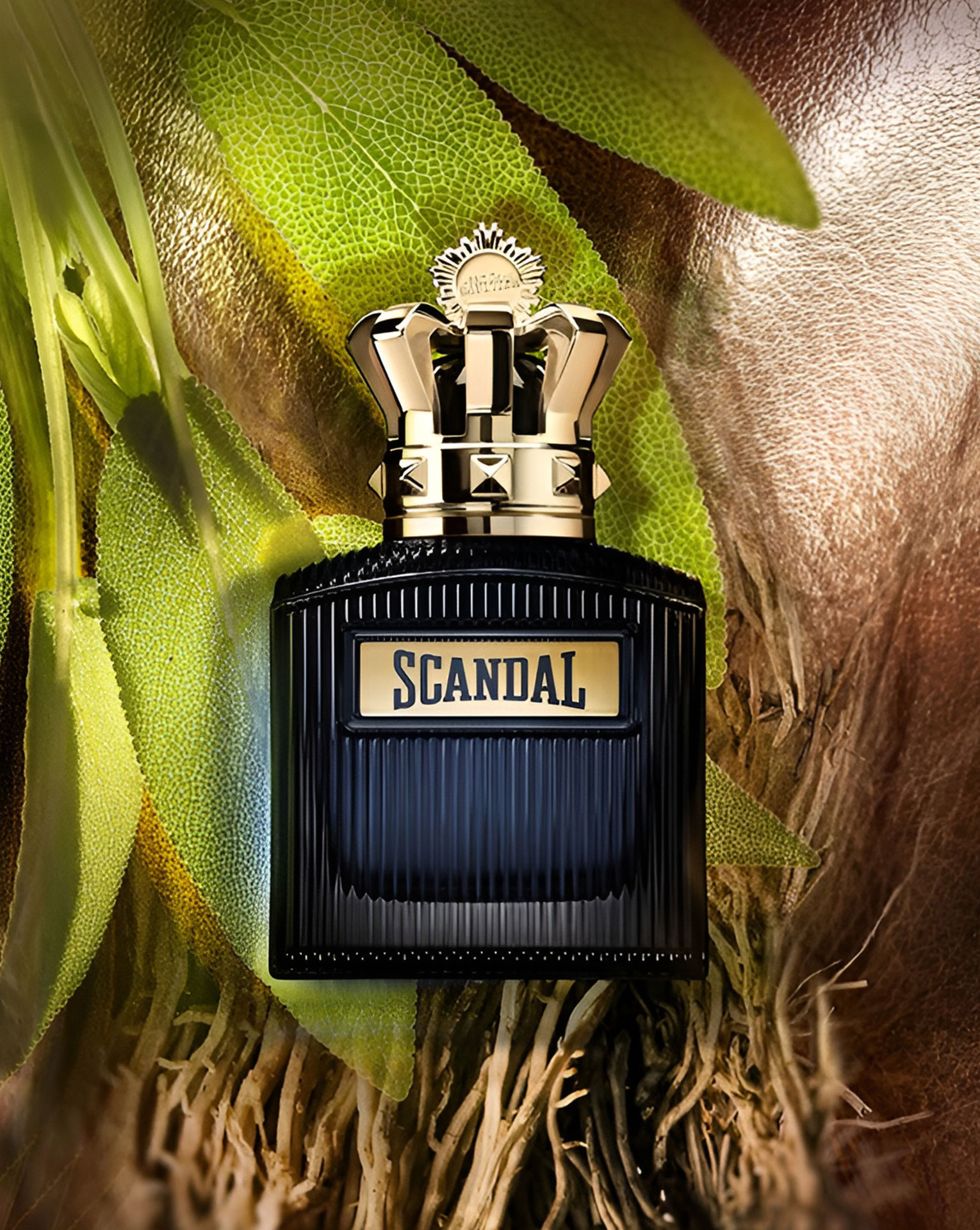 Scandal Intense