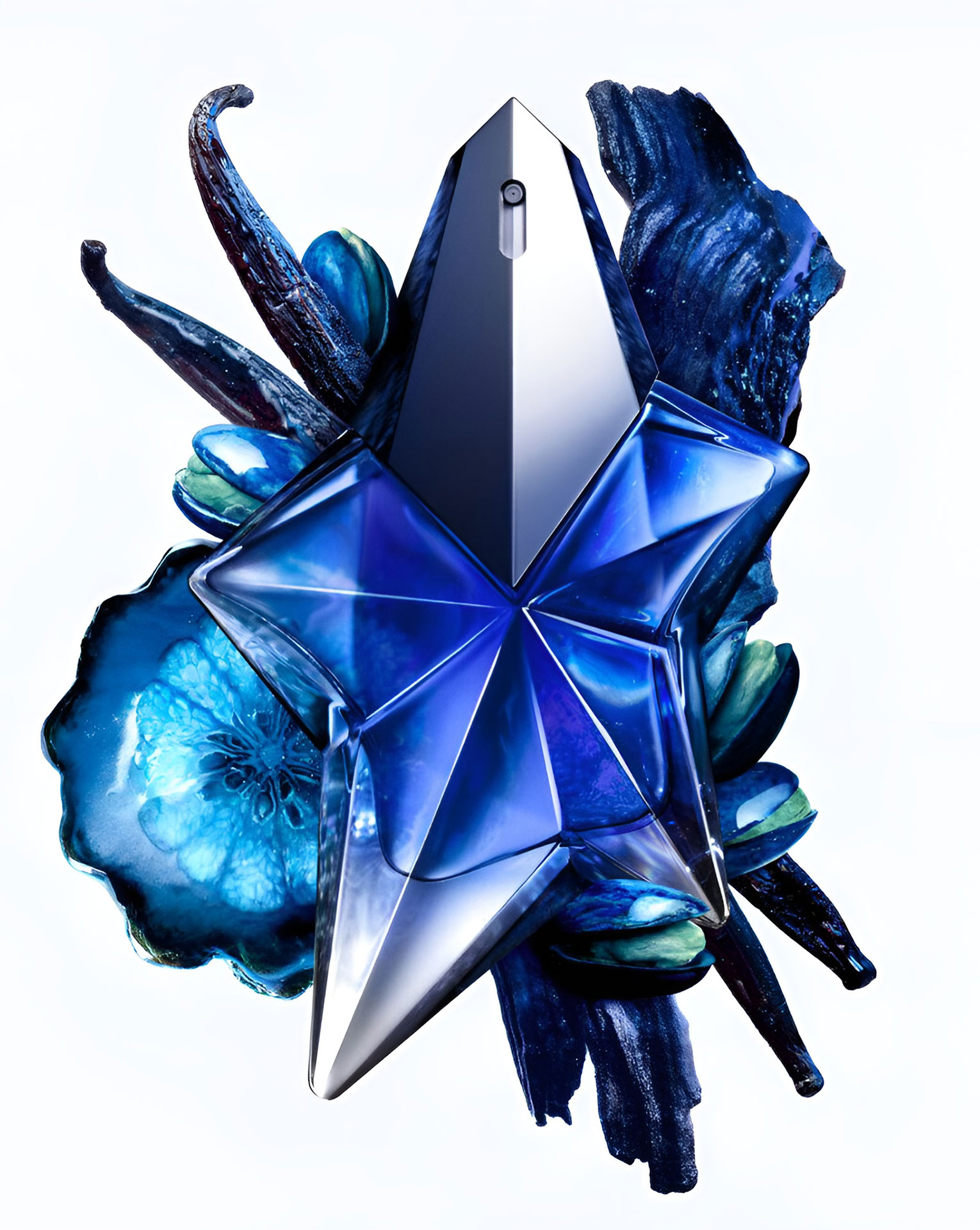 Angel Stellar